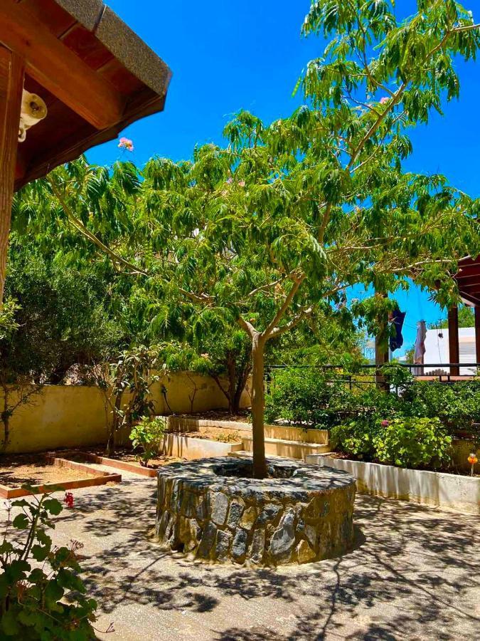 Cherrywood Creta Apartment Ierápetra Eksteriør billede