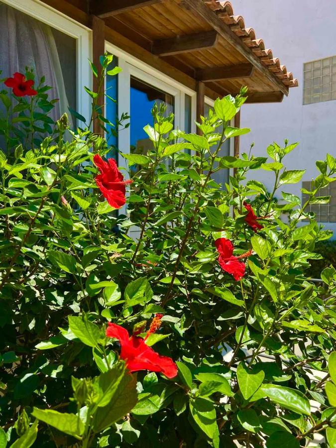 Cherrywood Creta Apartment Ierápetra Eksteriør billede